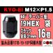 1ʸ2 ʻ KYO-EI 19HEX L31 60ơѡ  16 M12P1.5 ֥å     (101B-19-16P 4965581117508 ѥå̵
