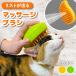  cat steam brush 3 in 1 steam cat brush humidification Mist ming brush b lashing massage 