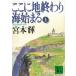  здесь . земля ... море ... сверху / Miyamoto Teru б/у библиотека 