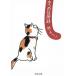  кошка. адресная книга / Mure Yoko б/у библиотека 
