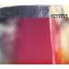 THE FRAGILE / NINE INCH NAILSna in * дюймовый * ногти z б/у * прокат CD альбом 