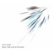 INTO THE LITTLE WORLD / LITTLE WEST б/у * прокат CD альбом 