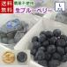 [ free shipping ] large grain. raw blueberry (L size large sphere )| Iwate prefecture .. production, pesticide un- use 