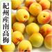  Wakayama префектура производство .. юг высота слива [.. слива ] L размер 3kg бесплатная доставка прямая поставка от производителя маринованные сливы .* сливовое вино * слива сироп * слива джем конструкция оптимальный..