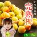  Wakayama префектура производство .. юг высота слива [.. слива ] превосходящий товар 3L размер 3kg бесплатная доставка прямая поставка от производителя маринованные сливы .* сливовое вино * слива сироп * слива джем * слива сок конструкция оптимальный..