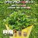 kla Piaa K7 9cm pot seedling 10 pot green s.... soil improvement set white color goods kind manual attaching fertilizer *. power .4 kind attaching garden 