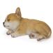 �� �u�� ���₷��`���� ���� ����17.5cm WOOBIA ���A�� ���� ������� �I�u�W�F ��� �C���e���A ���� �M�t�g ���� �G�� ���� �֘A�摜2