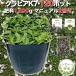 kla Piaa K7 9cm pot рассада 120 горшок комплект удобрение 1200g белый цвет товар вид iwadare saw улучшение вид почвопокровные растения 