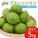  зеленый лимон есть перевод 5kg лимон гора север производство .. прямая поставка от производителя Kochi префектура производство местного производства для бытового использования no- воск . коррозия . защита от плесени . не использование синий лимон бесплатная доставка Yamato отправка 
