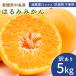 [ предварительный заказ ] средний остров производство. .. мандарин есть перевод 5kg размер смешивание. .. мандарин . пестициды прямая поставка от производителя остров мандарин местного производства Ehime префектура желающий. остров производство no- воск . коррозия . не использование бесплатная доставка 