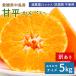  средний остров производство мандарин . flat 5kg есть перевод средний остров . flat .... размер смешивание . пестициды прямая поставка от производителя местного производства Ehime префектура желающий. остров производство no- воск . коррозия . не использование бесплатная доставка 