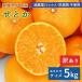 [ предварительный заказ ] средний остров производство мандарин . или 5kg есть перевод размер смешивание средний остров . или . пестициды прямая поставка от производителя остров мандарин .. местного производства Seto внутри море Ehime префектура желающий. остров производство . коррозия . не использование бесплатная доставка 