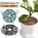  цветочный горшок покрытие почва протектор цветочный горшок покрытие круглый цветочный горшок g крышка диаметр 30cm цветочный горшок почва защита собака кошка меры баловство предотвращение "дышит" переворачивание предотвращение 2 листов se