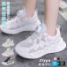�^���C �V���[�Y �_�C�������V���[�Y 16cm?23cm �W���j�A ���̎q �����j���O�V���[�Y �j�̎q �ȒP �X�j�[�J�[ �_�C������ �ʉ� �ʊw �L�b�Y �q���C �q���p