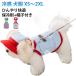 �⊴ ���킢�� �L���~�\�[�� �⊴ ���� �^���N�g�b�v ���Ȃ� �N�[�� D�J���t�� �X�q�t�� �Ђ��� UPF50�{ ���b�V�� ���^�� �h�b�O�E�F�A