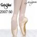  пуанты Gris siko2007( автомобиль nkM) маленький ширина ~ стандартный ширина 