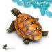  aquarium for layout turtle. ornament turtle. ornament human work objet d'art aquarium decoration aquarium inside interior accessory ornament aquarium supplies layout 