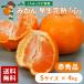  мандарин . сырой ..[ сердце ] красный превосходящий товар S размер 4kg JA.... прямая поставка от производителя три штук день mi can [ другой товар . одновременно покупка не возможно товар ][ отправка :2025 год 12 месяц сверху .~ средний .]