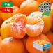 мандарин ..3kg. для бытового использования есть перевод маленький шар маленький шарик 3S~S размер 30~40 шар передний и задний (до и после) ввод Ehime запад . мир Hachiman .mi can меласса . отметка использование . покупка 