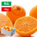  подарок декоративный элемент pon мандарин не . огонь бесплатная доставка превосходящий товар 4kg M~2L размер декоративный элемент фрукты . фрукты Ehime производство декоративный элемент pon. такой же товар вид отметка использование . покупка 