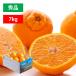  подарок декоративный элемент pon мандарин не . огонь бесплатная доставка превосходящий товар 7kg M~2L размер декоративный элемент фрукты . фрукты Ehime производство Ehime производство декоративный элемент pon. такой же товар вид отметка использование . покупка 