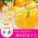 母の日 ギフト みかん 寒天ゼリー 170g×8本 送料無料