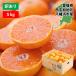  мандарин 5kg Ehime запад . мир Hachiman . есть перевод . для бытового использования .. кислота тест 2S~3L размер mi can фрукты . фрукты меласса . бесплатная доставка царапина предмет . покупка 