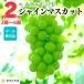 [ распродажа ] автомобиль in мускат утро .. Arita ...2kg(2.~6.) Arita ... Wakayama префектура производство прямая поставка от производителя прохладный рейс соответствует 