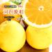 Kawauchi .. есть перевод Ehime префектура производство мир производства грейпфрут ju-si- orange не комплект размер смешивание примерно 7.5kg бесплатная доставка 