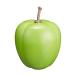 PLAY WOODmala rental fruit shaker blue apple FS-GPR