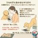 �y�b�g�����ƃX�^���v�L�b�g 2 �Z�b�g ��p�J�[�h 6 �� ���ꂸ�ȒP�Ɏ葫�^�L�^ �L���p �L�O�A�C�e�� ���S ���őf�� �v���[���g �g���₷�� ���K �֘A�摜2