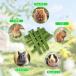 �E�T�M ���ނ������� 40g �p�p�C���̗t�̌s �������p�̂������� �V�R ���Y�� �����F �p�p�C���̌s ������� ������ ���ޖ_ ������ �`���` �֘A�摜5