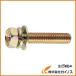 TRUSCO ¶ȹͥ ֥åȥ᡼P3M6X16 55 B68-0616