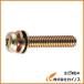 TRUSCO ʥƬȹͥ ᡼P4 M6X10 50 B51-0610