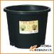DIC NP�|�b�g��25�� NPP-25-BK NPP25BK