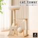  башня для кошки low кольцо мяч есть climbing рама прозрачный Capsule коготь .. выставка . шт. bed 