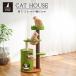 2 уровень домик для кошек прозрачный капсулпа со стартером башня для кошки выставка . шт. зеленый 