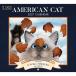 2027 wall календарь ro well *herero american кошка 
