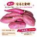 �y�V���z�Ȃ�Ƌ��� ���܂��� �󂠂�i  2kg�iM�AL�T�C�Y �W�`�P�O�{�j �������� �����Y ����� �z�N�z�N �� ���� �֘A�摜1