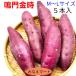 .. gold hour 5 pcs insertion .M~L size sweet potato home use little amount Tokushima production sweet potato become . gold hour 