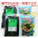 鳴門産　わかめ（200g×2)・海藻サラダ(100g×2)セット　クール便送料無料　湯通し塩蔵　ワカメ