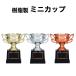  полимер производства Mini награждение cup CP193 несессер ввод название inserting скульптура победа награждение Trophy память сувенир Minamikyushu Trophy 