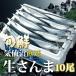 さんま 三陸 気仙沼産 生さんま 10尾 さんまつみれ汁付 鮮サンマ 秋刀魚 産地工場直送 水揚げ次第順次発送 宮城県 南三陸ホテル観洋 阿部長商店