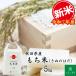 新米 米 お米 米5kg もち米 きぬのはだ 令和5年産 秋田県産 農家直送 古代米お試し袋付き