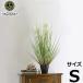 ハギハラ 人工観葉植物 サニーグラス #1727 (S/69cm) [人工植物 造花 観葉植物]