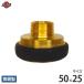  скала мыс завод блок . тип муфта блок . тип женский × необычность диаметр газ винт мужской 50×25 желтый медный 43D5025B [ блок no женщина вставка no тип шланг муфта ]