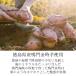 ������ �䒆��  �� �a�� �X�C�[�g�|�e�g (6��) ������� �a�َq �M�t�g �X�C�[�c ��j �䋟 ���� �v���[���g �̂� �֘A�摜3