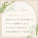 �y�����z�I���[�u ���Ђ� �V�Ђ� �������Y �� 10/10���� �Z�b�g �G�� ���ʌ��� ���Y ��Ђ��� �M�t�g �v���[���g �i�i�I���[�u �������� �ܖ�����12/23 70g�~3 �֘A�摜3