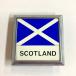  на данный момент товар SCOTLAND машина bachi