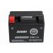 MINI Q Mini Q lithium ион аккумулятор 